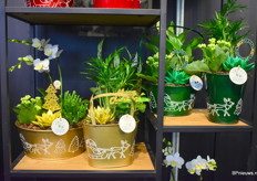 Nieuw kerstconcept van Solid Plant Productions.